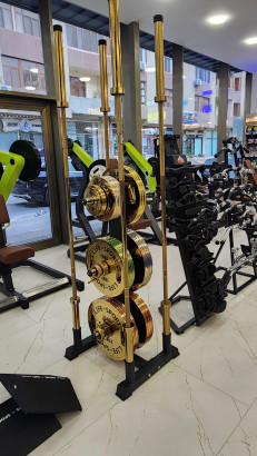 Life Sport Pro Bronze Coating Change Plate 10 kg